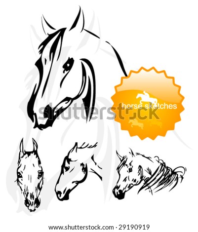 horse head sketches. stock vector : horse sketches