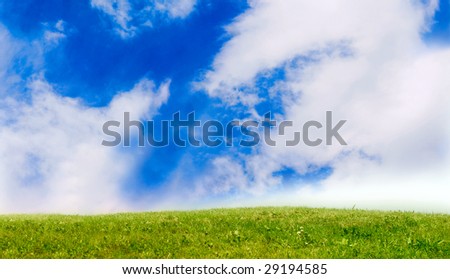 summer grass and cloud sky
