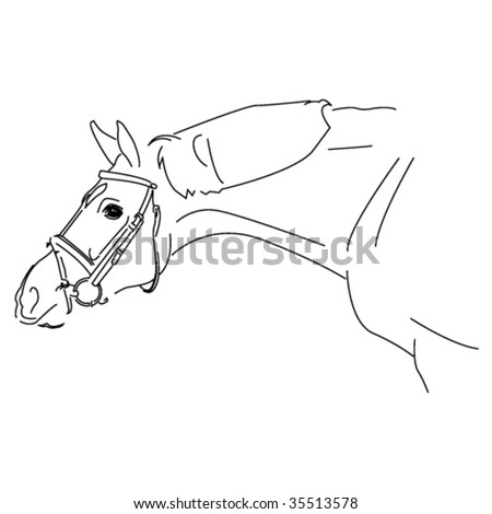 horse head sketches. horse head sketch vector