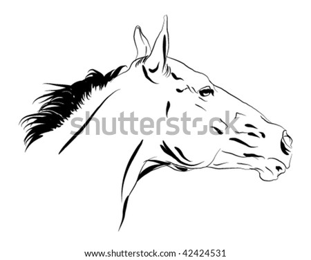 stock vector horse head vector