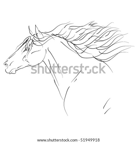 stock vector vector horse head