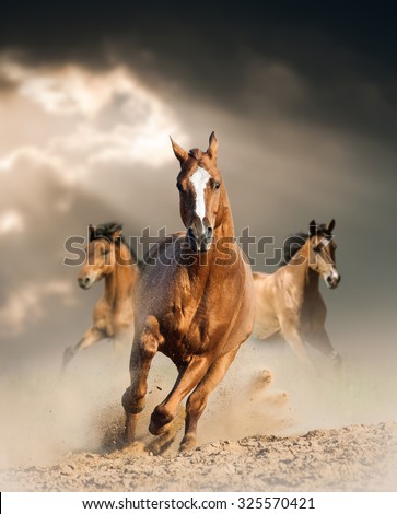 wild horses running wild in dust under ray of light through the storm