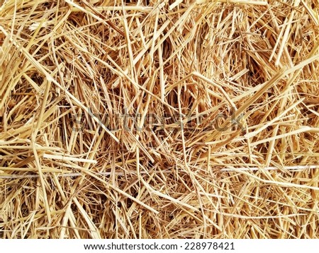 rice straw , use for background