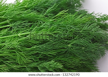 Fresh tasty dill  isolated on white background
