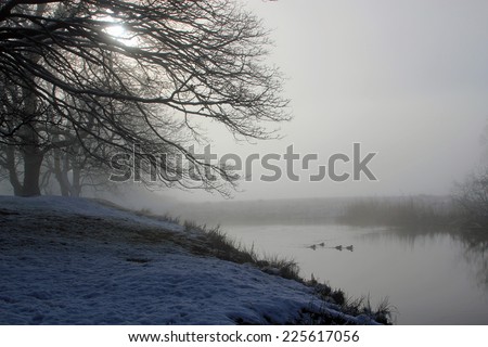 Winter lake with ducks on a misty morning with freshly fallen snow