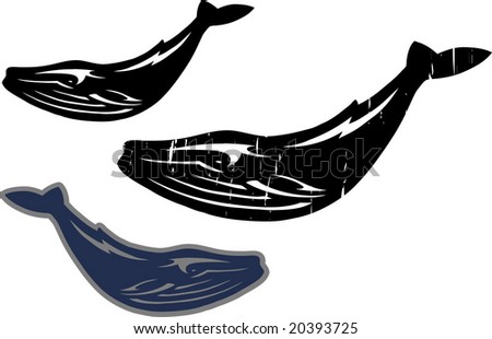 Blue Whale Graphic