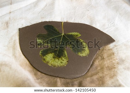 a tree leaf stuck to a piece of clay