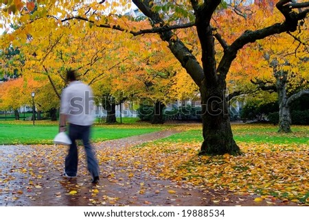 Student carries lunch as he walks in the fall rain on a brick path lined with fall leaves