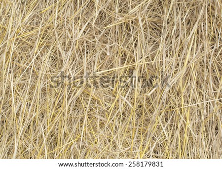 Straw after harvest in Thailand.
