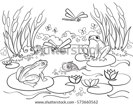 Animals and plants essay