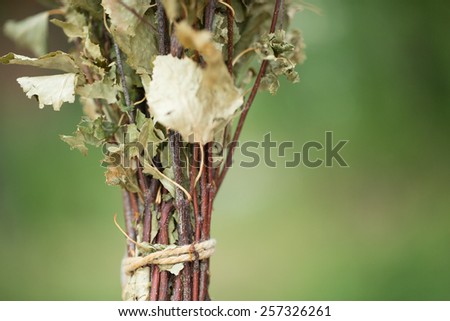 Broom for baths, birch photo for you