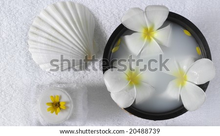 spa beauty exotic tropical flowers sea shells  towels soap