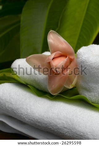 spa objects with tropic flowers and leaves