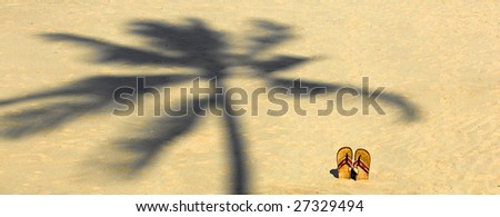 man beach sandals on the sand with palm tree shadow