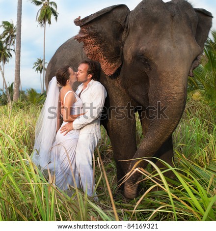 beautiful couple with elephant in wedding dress