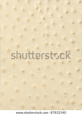 white leather texture closeup for background and design works