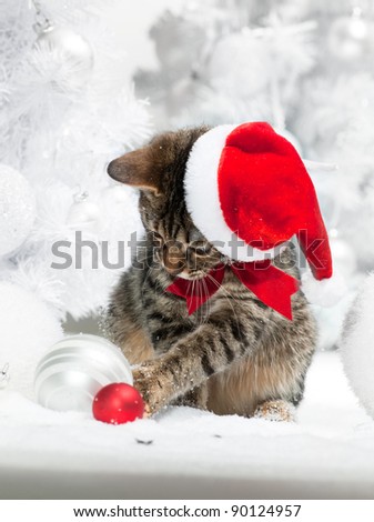 Christmas cat in red santa\'s hat  near christmas tree