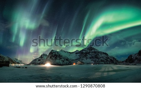 Aurora borealis or Northern lights over snow mountain on coastline in Flakstad, Lofoten islands