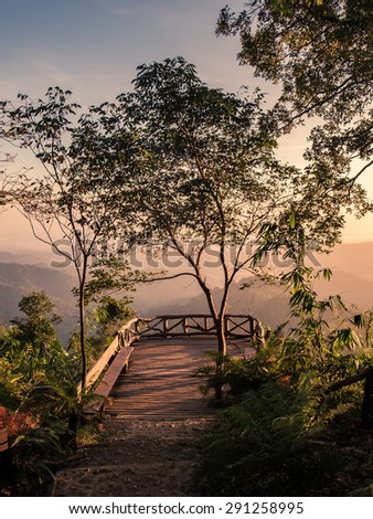 mountain tree plant bridge view point in forest nature national park, thongphaphum, kanchanaburi, thailand
