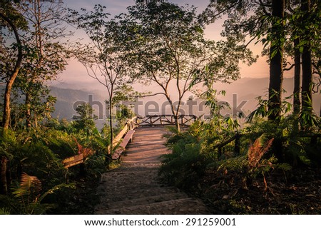 mountain tree plant bridge view point in forest nature national park, thongphaphum, kanchanaburi, thailand