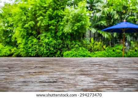 Green garden backyard blue umbrella soft wooden floor textured scene