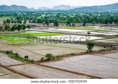 rice field tree mountain arid dry wat tham sua area, kanchanaburi