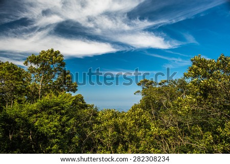 Distant city behind a forest with a blue sky and white clouds