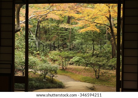 Autumn leaves of the garden visible from the Japanese-style room