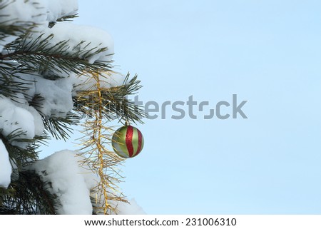 The striped glass sphere and garland hanging on a snow-covered branch of a pine against the blue sky in the winter