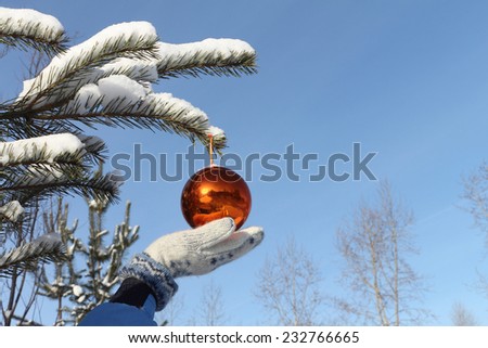 Female hand in a mitten at the orange glass sphere hanging on a fir-tree branch