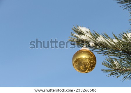 The yellow glass sphere hanging in snow on a coniferous branch against the blue sky