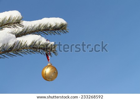 The yellow glass sphere hanging in snow on a coniferous branch against the blue sky