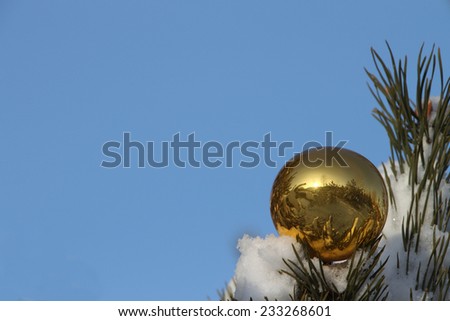 The yellow glass sphere lying on a snow-covered coniferous branch against the blue sky