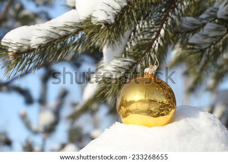 The yellow glass sphere lying on a snow-covered coniferous branch against the blue sky