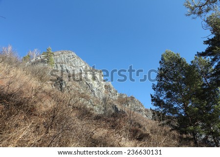 Rocky top of the mountain with the growing trees against the blue sky