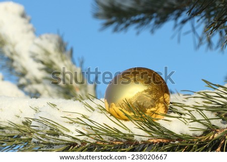 The yellow glass sphere lying in snow on a coniferous branch against the blue sky
