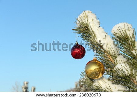 The red and yellow glass spheres hanging on a Christmas fir-tree against the blue sky