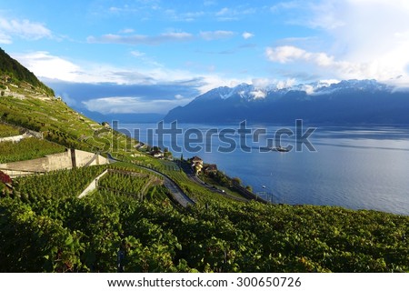 Sunset at Lemon lake , Vevey, Wineyard, Switzerland