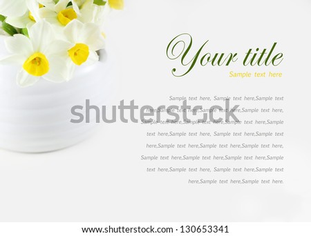 Daffodil background, Web site backgrounds, design background