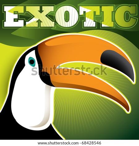 exotic toucan