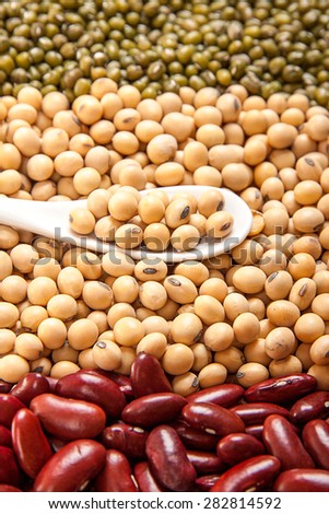Different varieties of beans: red kidney beans, soybeans, mung beans