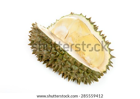 Durian The King of Fruits on white background
