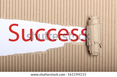 Success text on white paper with copy space and torn cardboard
