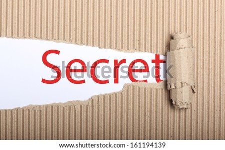 Secret text on white paper with copy space and torn cardboard