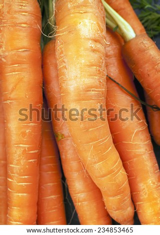 Close shot of a bunch of Raw Carrots.