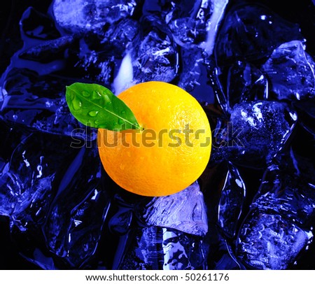 Orange Fruit Tree. Orange+fruit+drawing