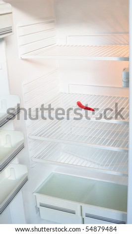 Empty Fridge