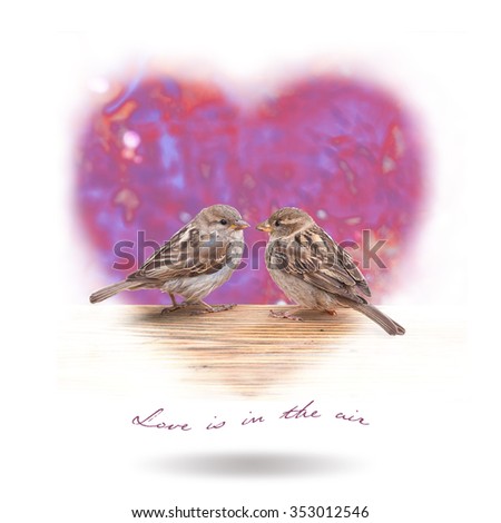 Valentines card with two birds in love and love is in the air phrase, isolated in white background