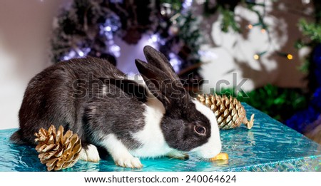 Beautiful black and white bunny on a background garlands.