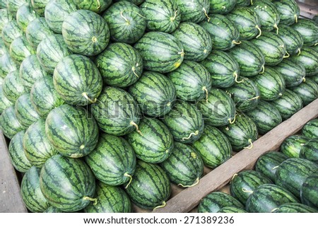 Wholesale Market Watermelon, Citrullus lanatus, in thailand